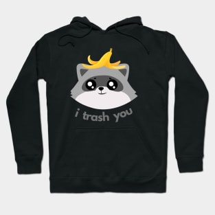 cute raccoon trash panda i trash you aesthetic cartoon Hoodie